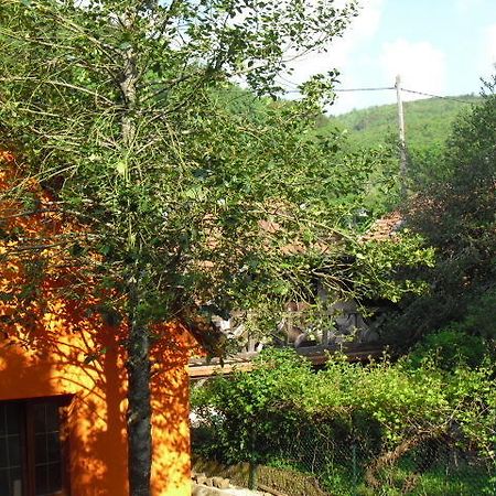Gite S'Hiesla Rammersmatt Ruang foto