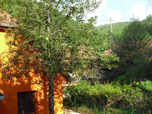 Gite S'Hiesla Rammersmatt Ruang foto